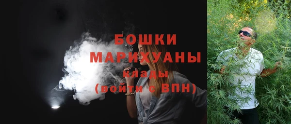ГАЛЛЮЦИНОГЕННЫЕ ГРИБЫ Белоозёрский