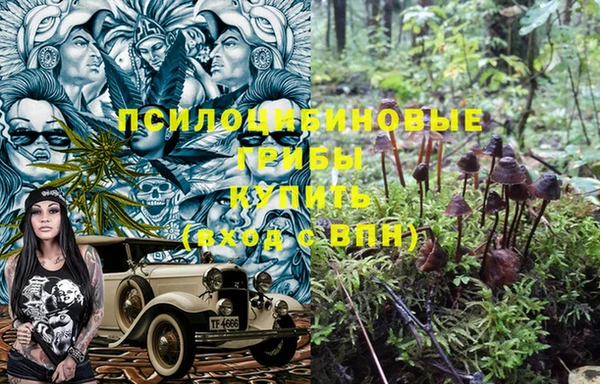 кокаин Белокуриха