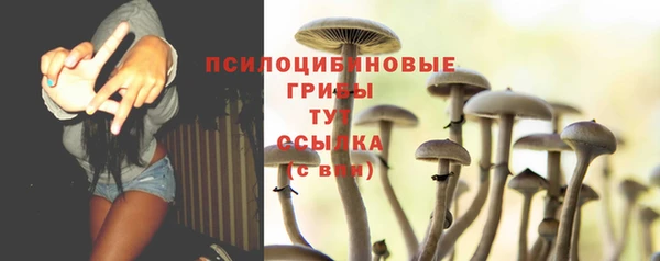 кокаин Белокуриха