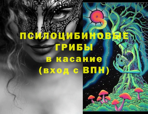 ГАЛЛЮЦИНОГЕННЫЕ ГРИБЫ Белоозёрский