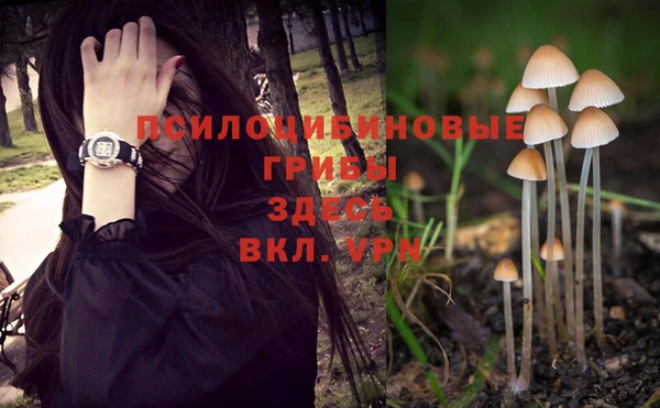 apvp Беломорск