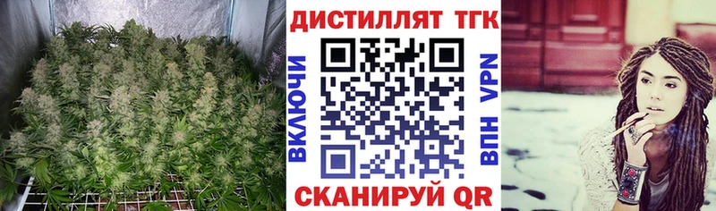 ТГК Wax  Малмыж 