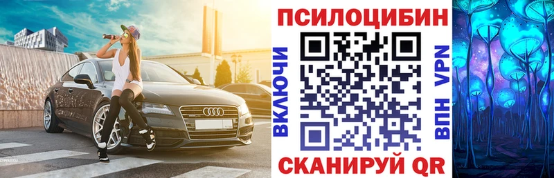 сколько стоит  Малмыж  ссылка на мегу ТОР  Псилоцибиновые грибы Psilocybe 